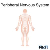 NF2 Issue